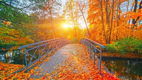 Fall